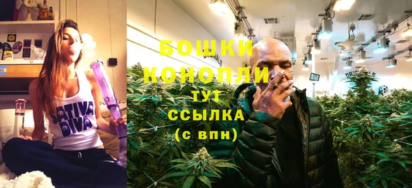 spice Нея