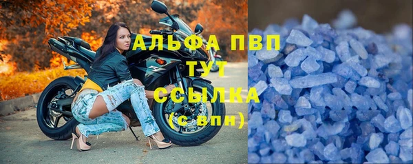 сатива Нефтекумск